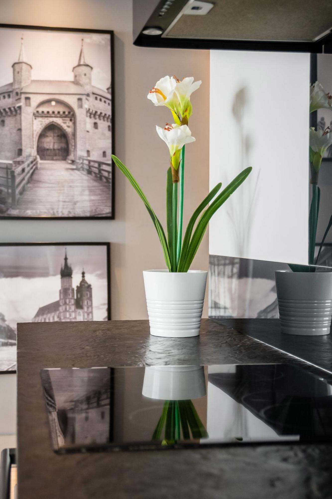 Appartement Krzyza