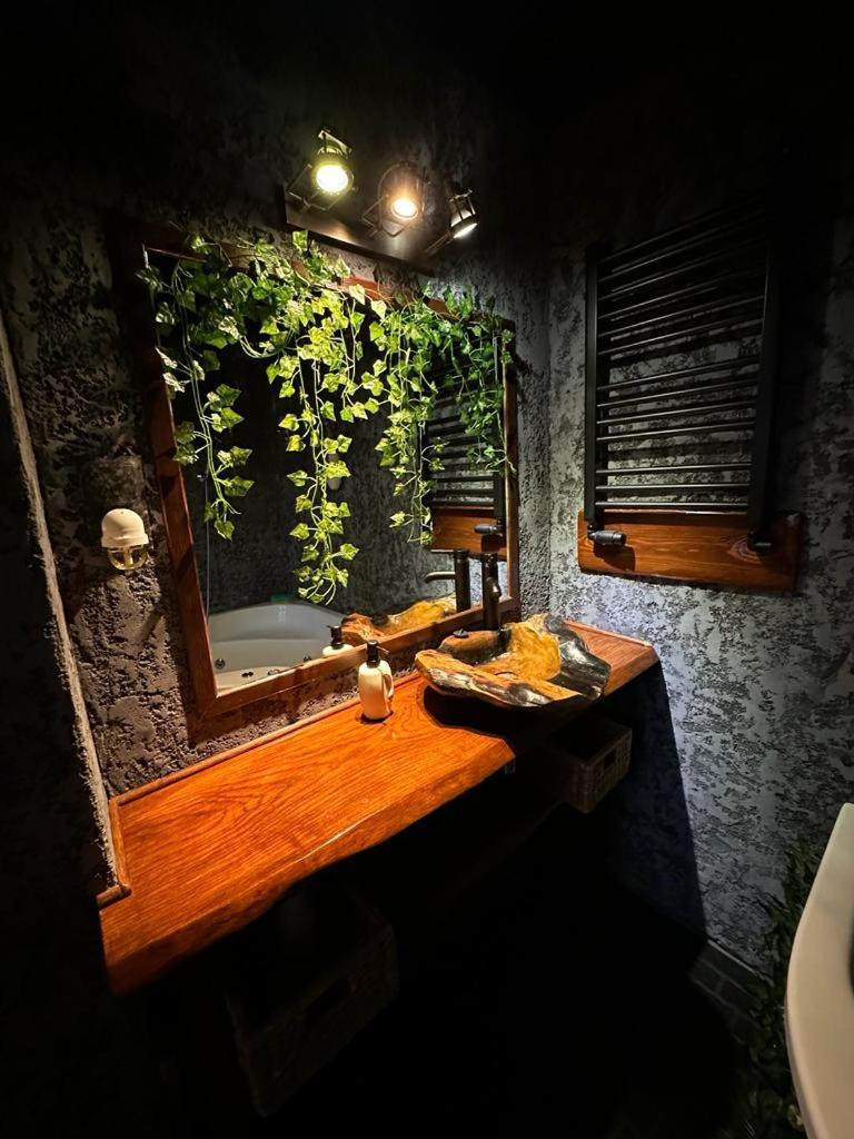 Apartament Z Widokiem Na Wawel *