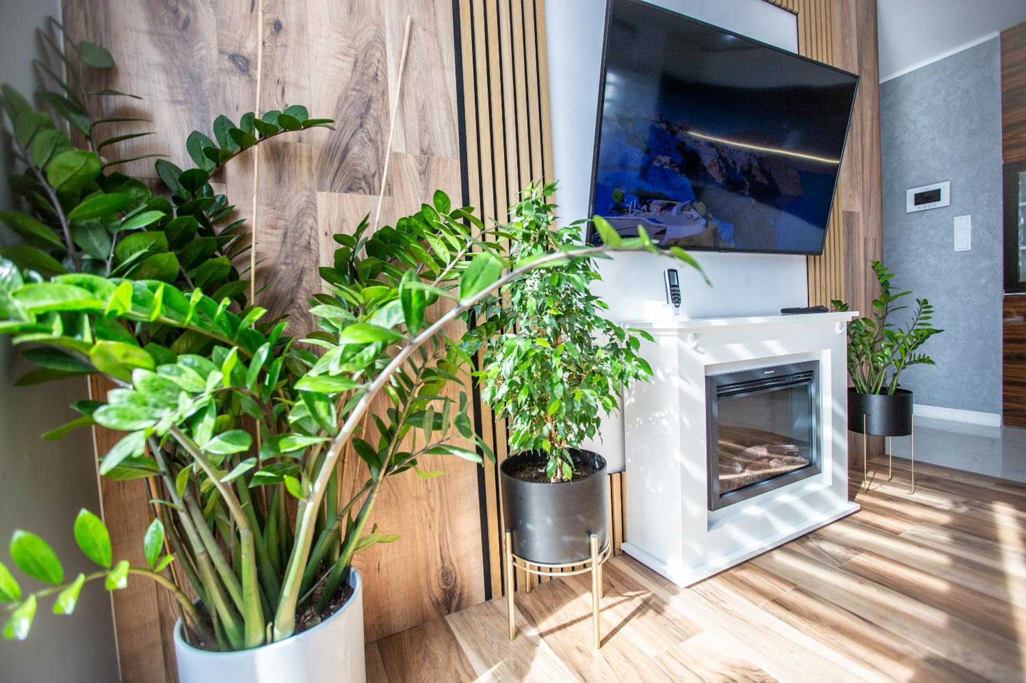 Apartment Wlodarska 4a Premium Krakau