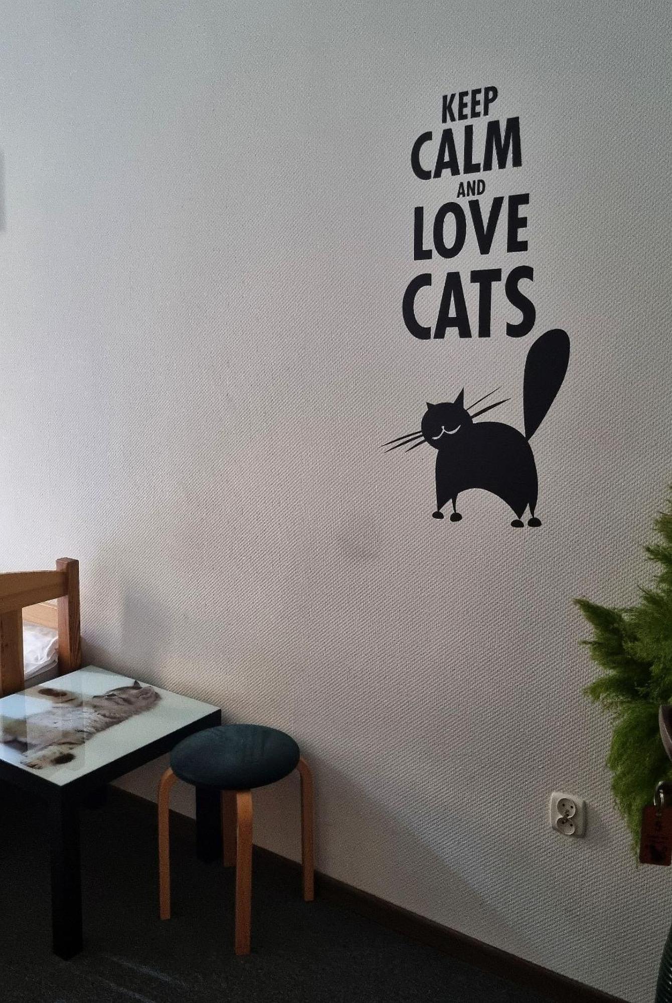 Cat *