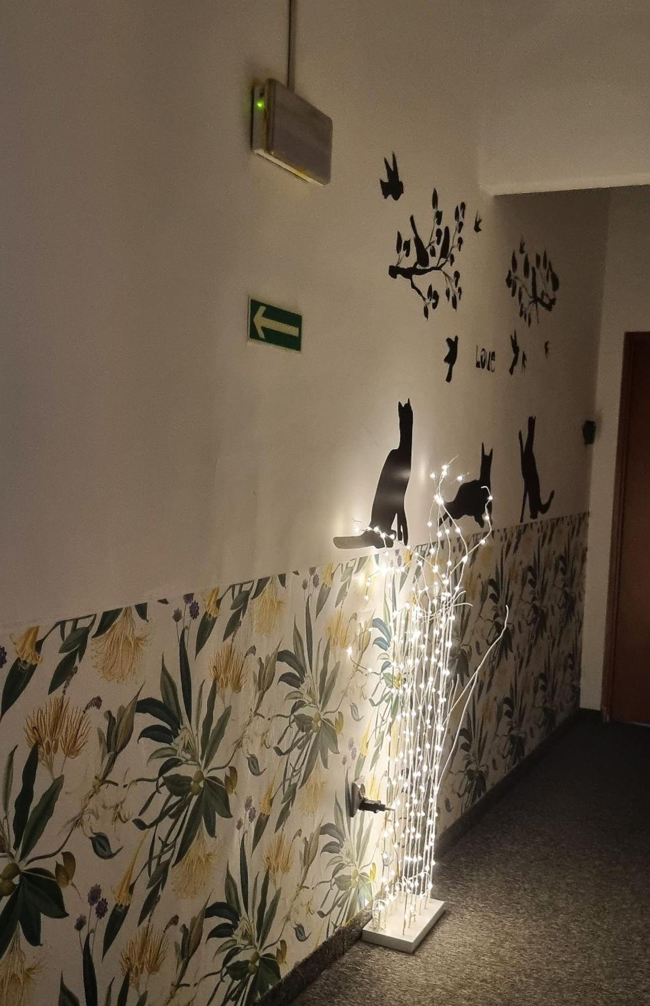 Cat Hostel Krakau