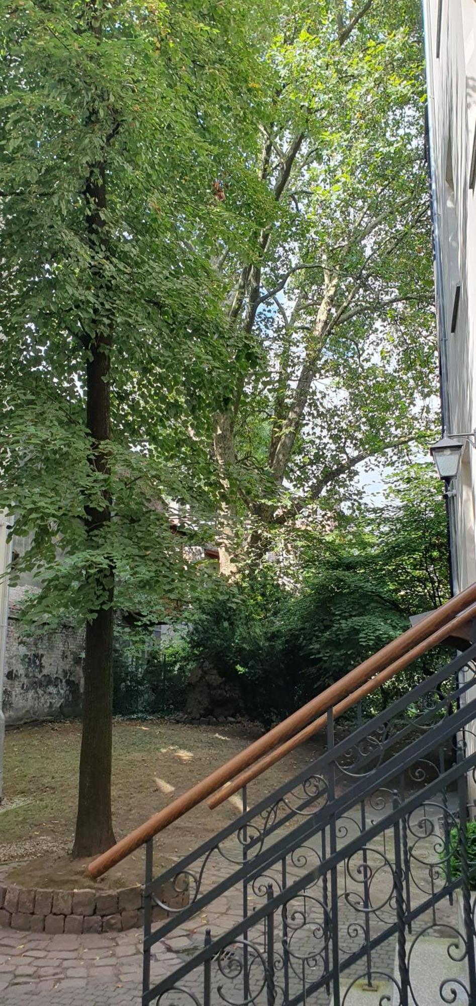 Cozy Flat Old Town Close To Main Square *
