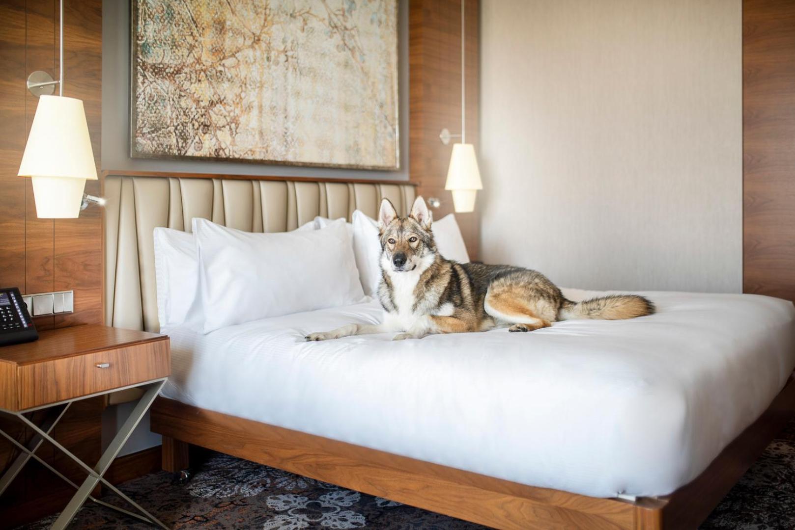 Doubletree By Hilton Hotel&convention Center 4*