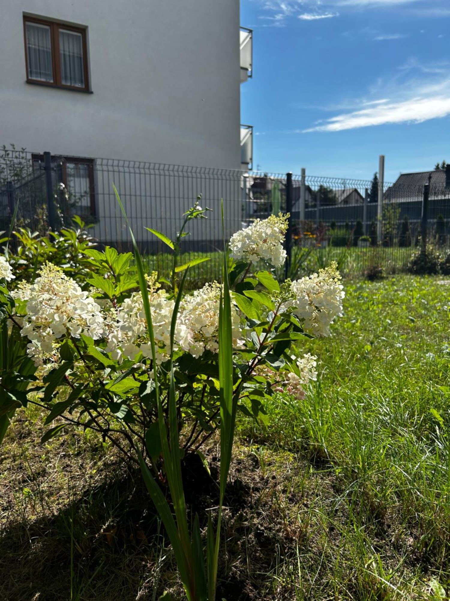 M&m Glogera Apartament Kraków
