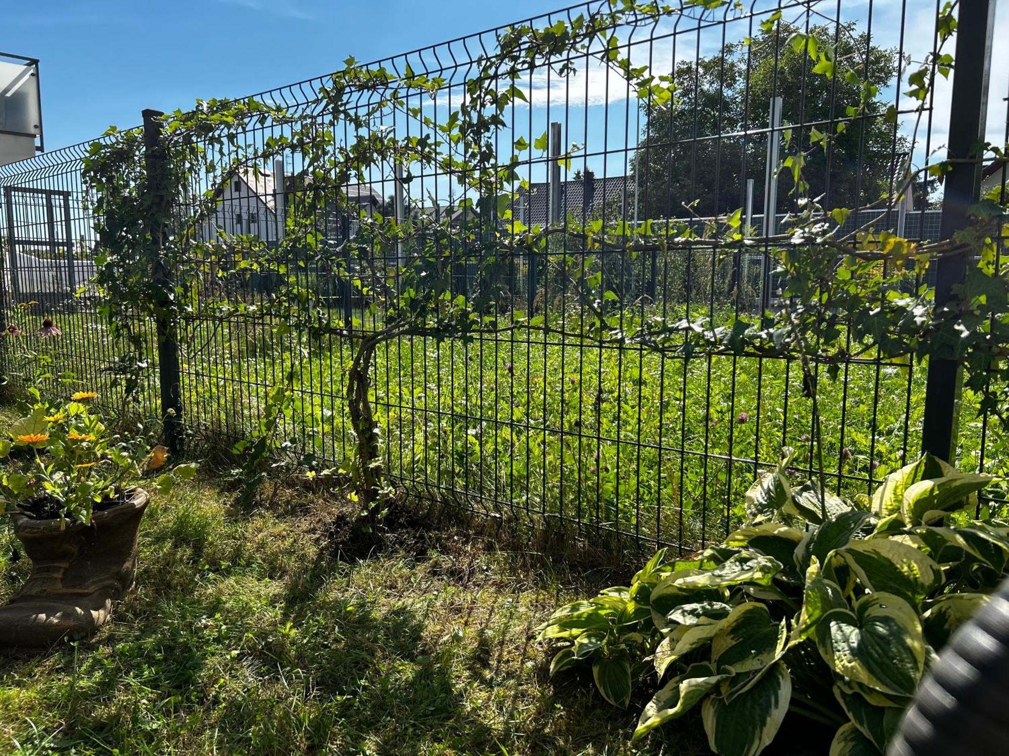M&m Glogera Apartament *