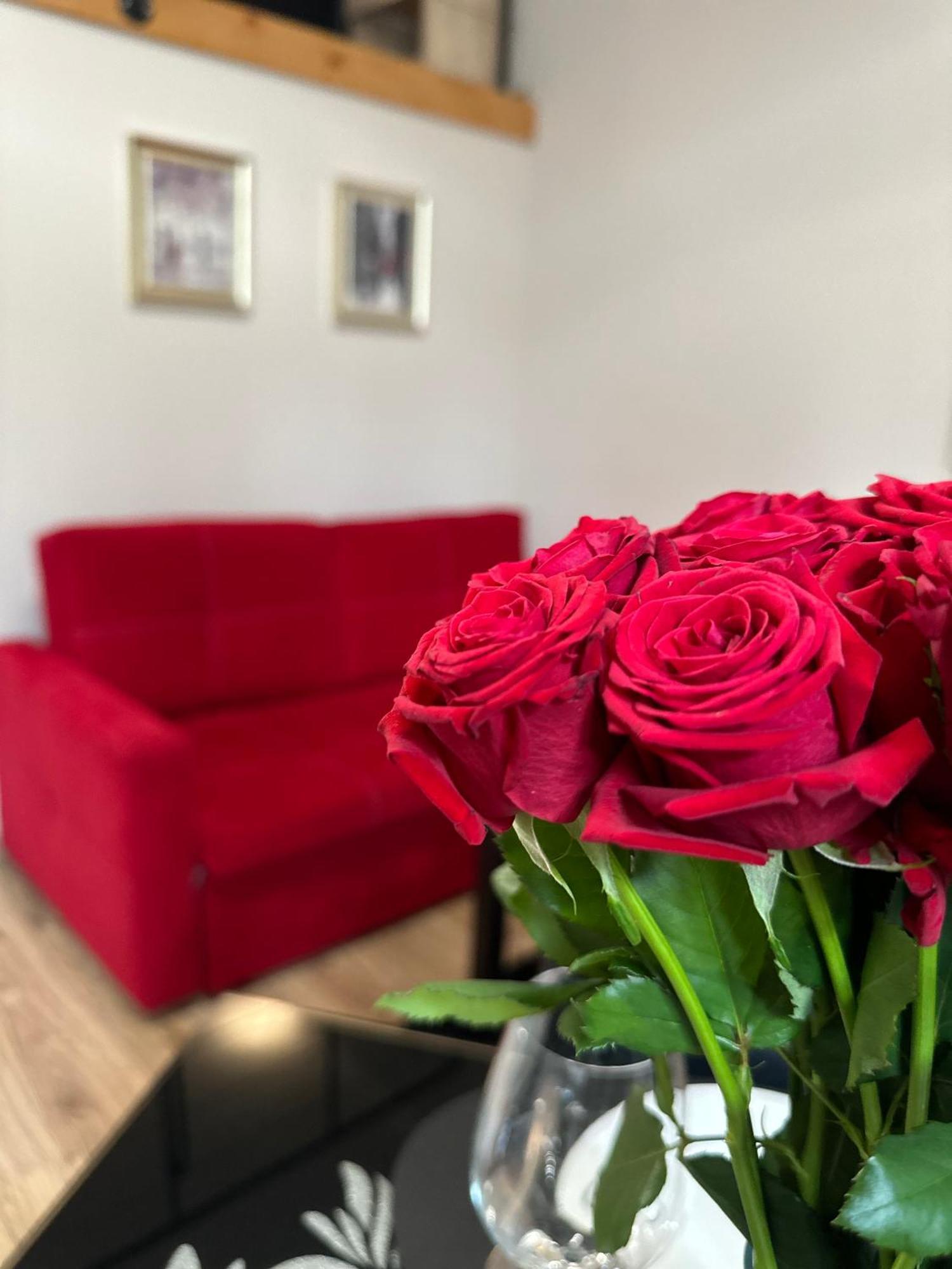 Dietla 34 Near Wawel Castle Apartament Kraków