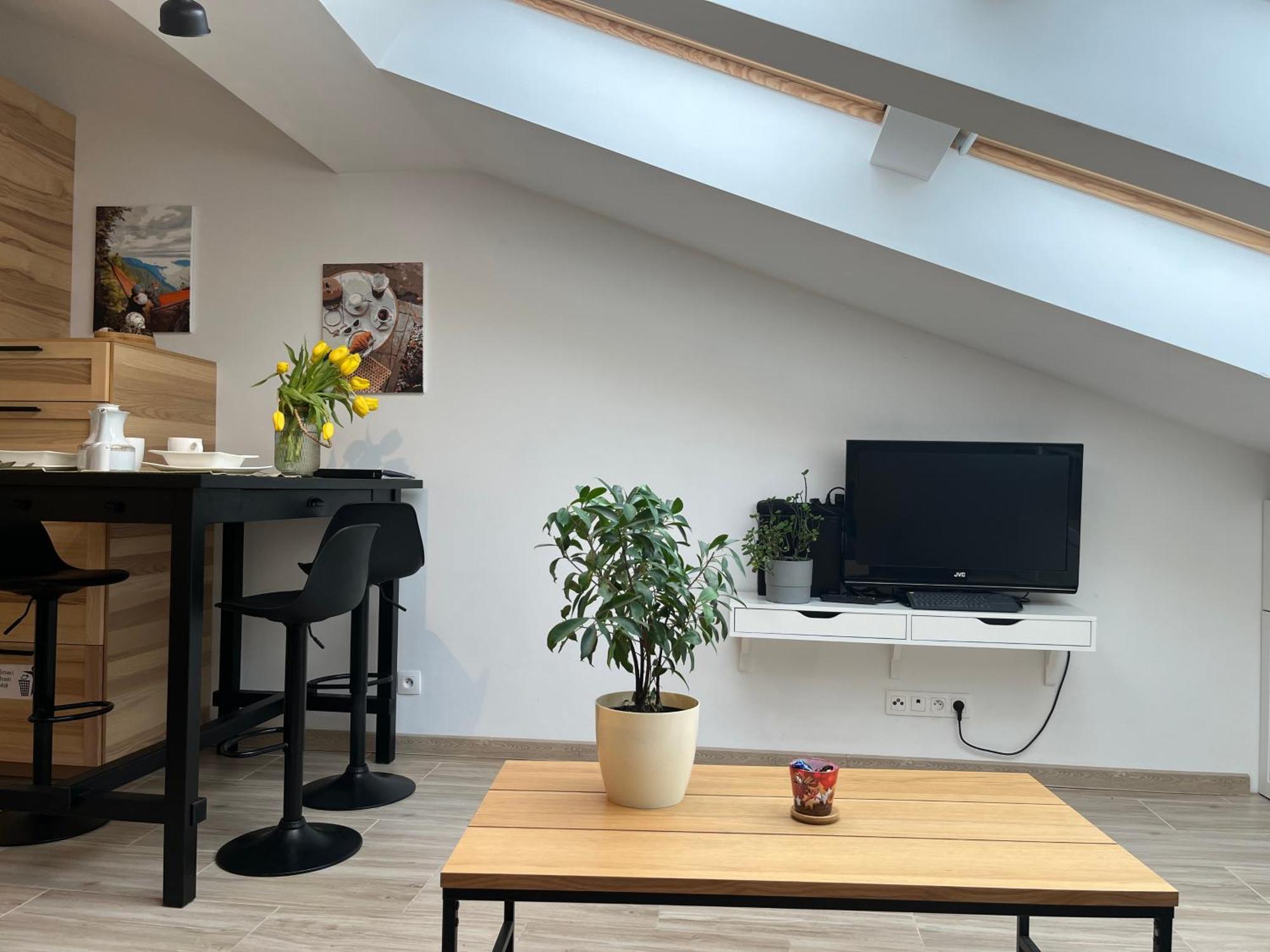 Feelhome With Kitchen Apartment Krakau