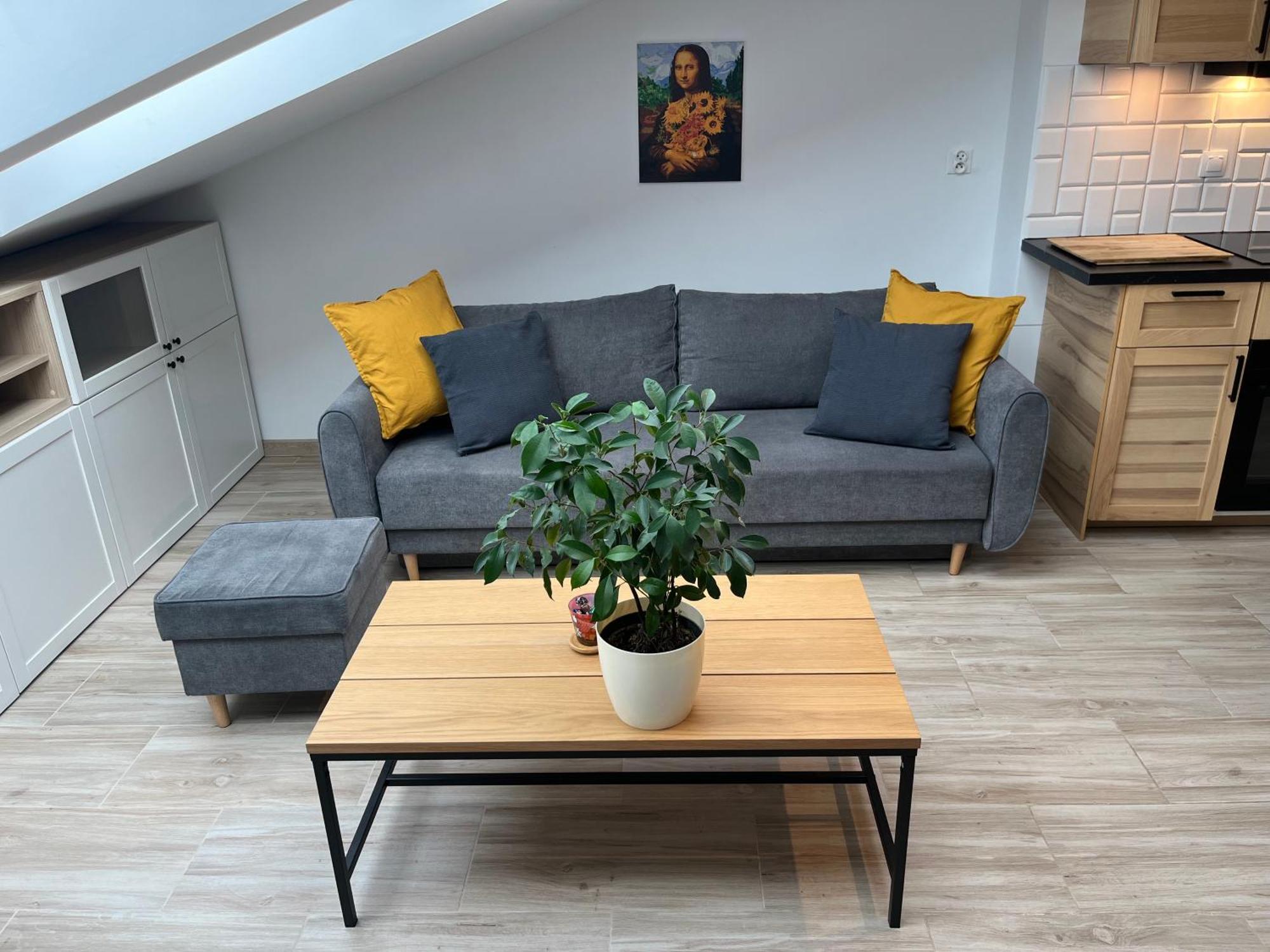 Apartment Feelhome With Kitchen Krakau
