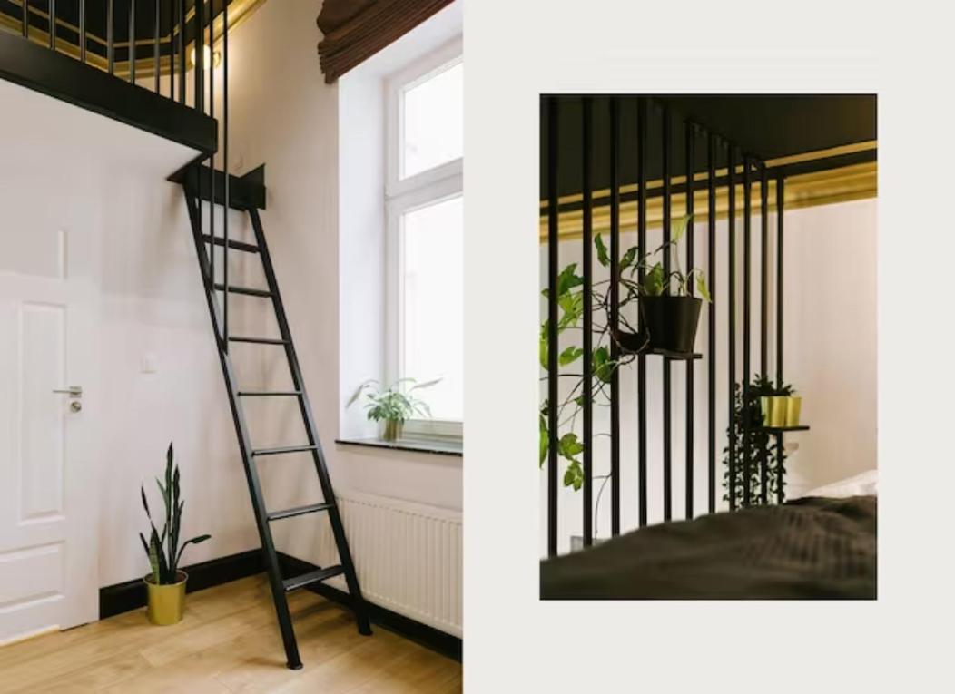 Apartament Studencka Old Town Kraków