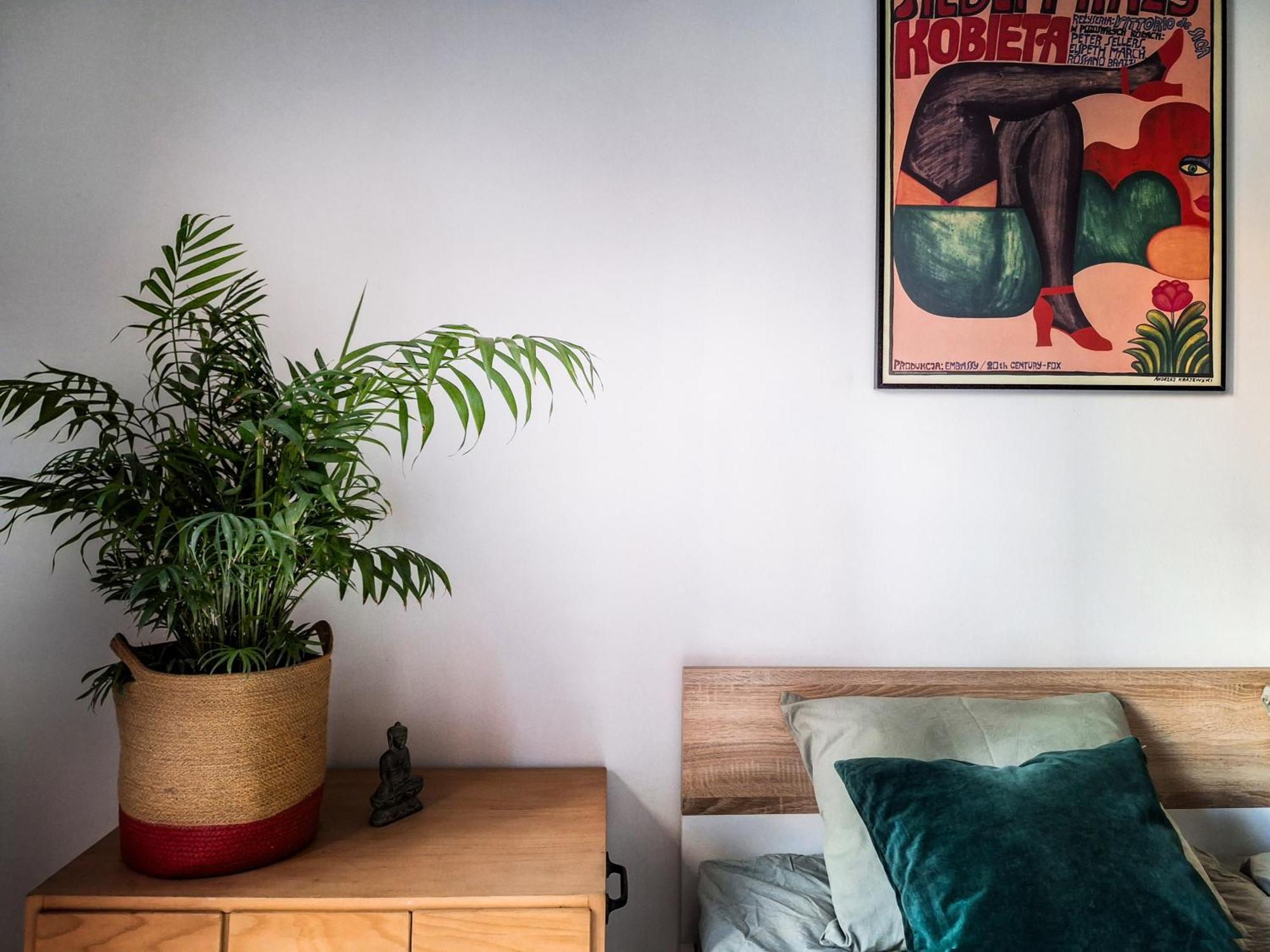 1-bedroom With Private Garden, Old Town Kraków