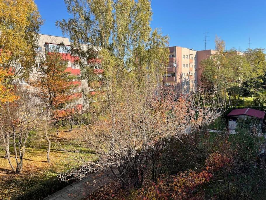 Appartement Lucky Seven Cosy 1-bedroom Apartment, Free Parking Krakau