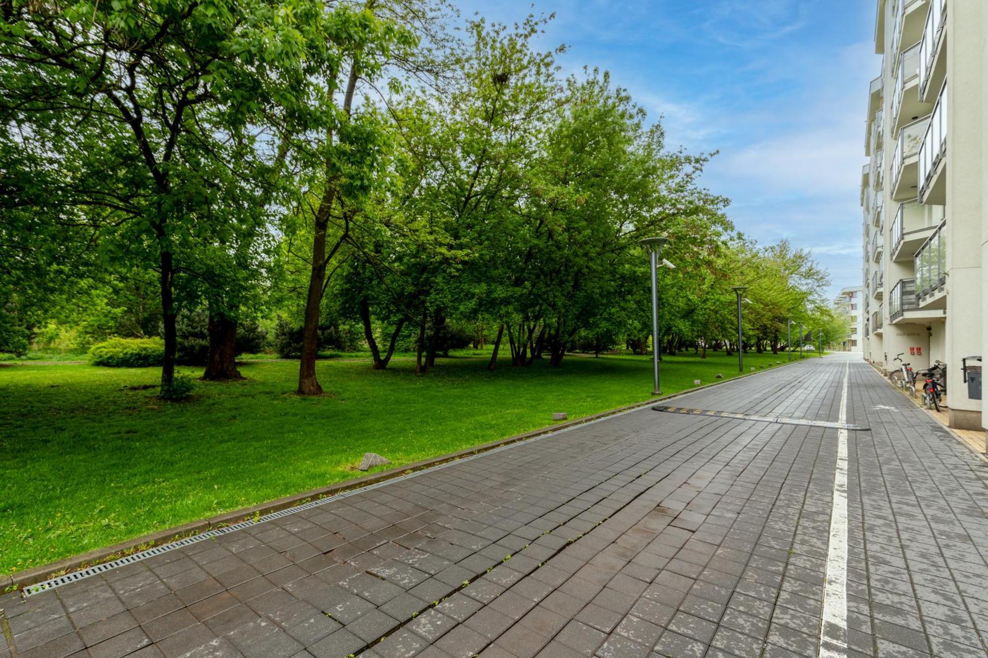 Zabiniec Paris *