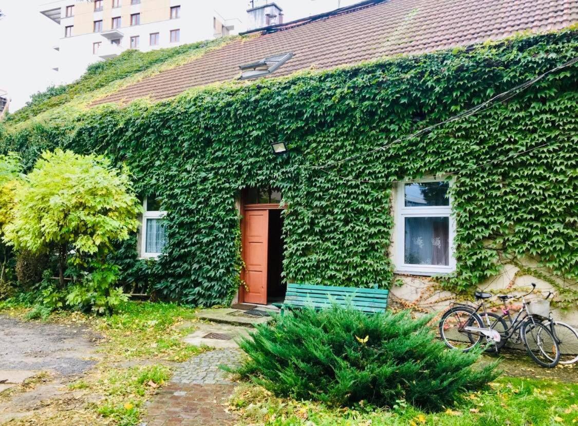 In Ivy Covered House, Near Old Town Krakow