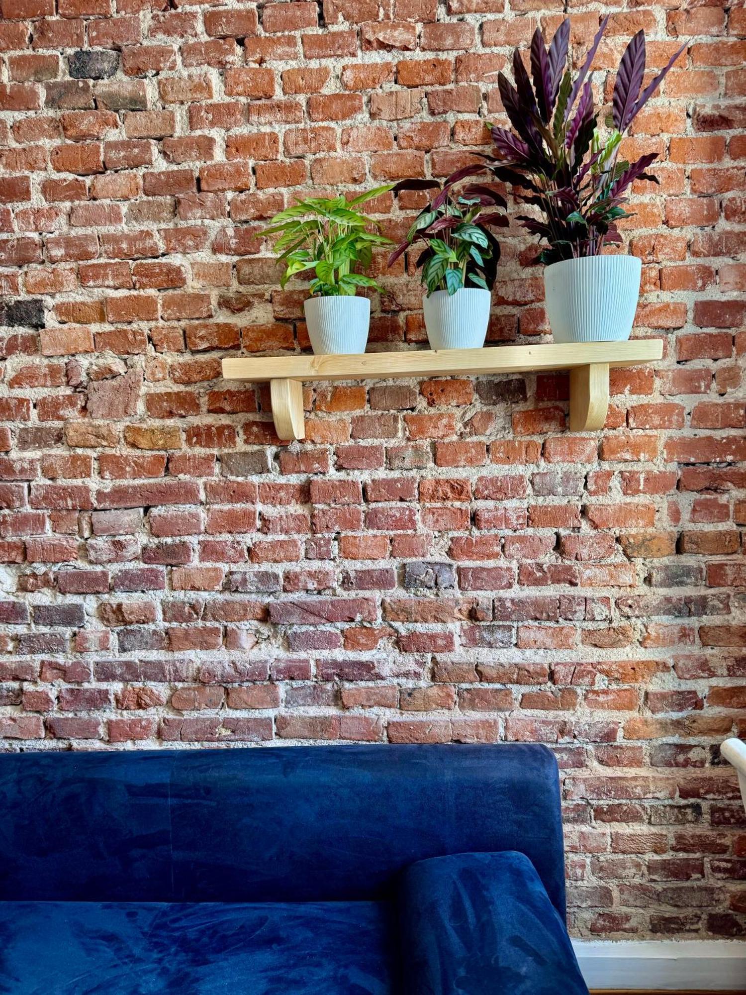 Apartment Bohemian In Center Of Kazimierz District