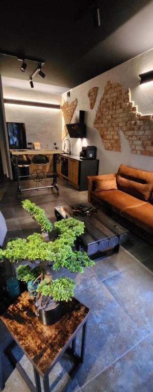 Luxury Vistula Old Town Apartments: Spa, Sauna & Pool Retreat Krakow