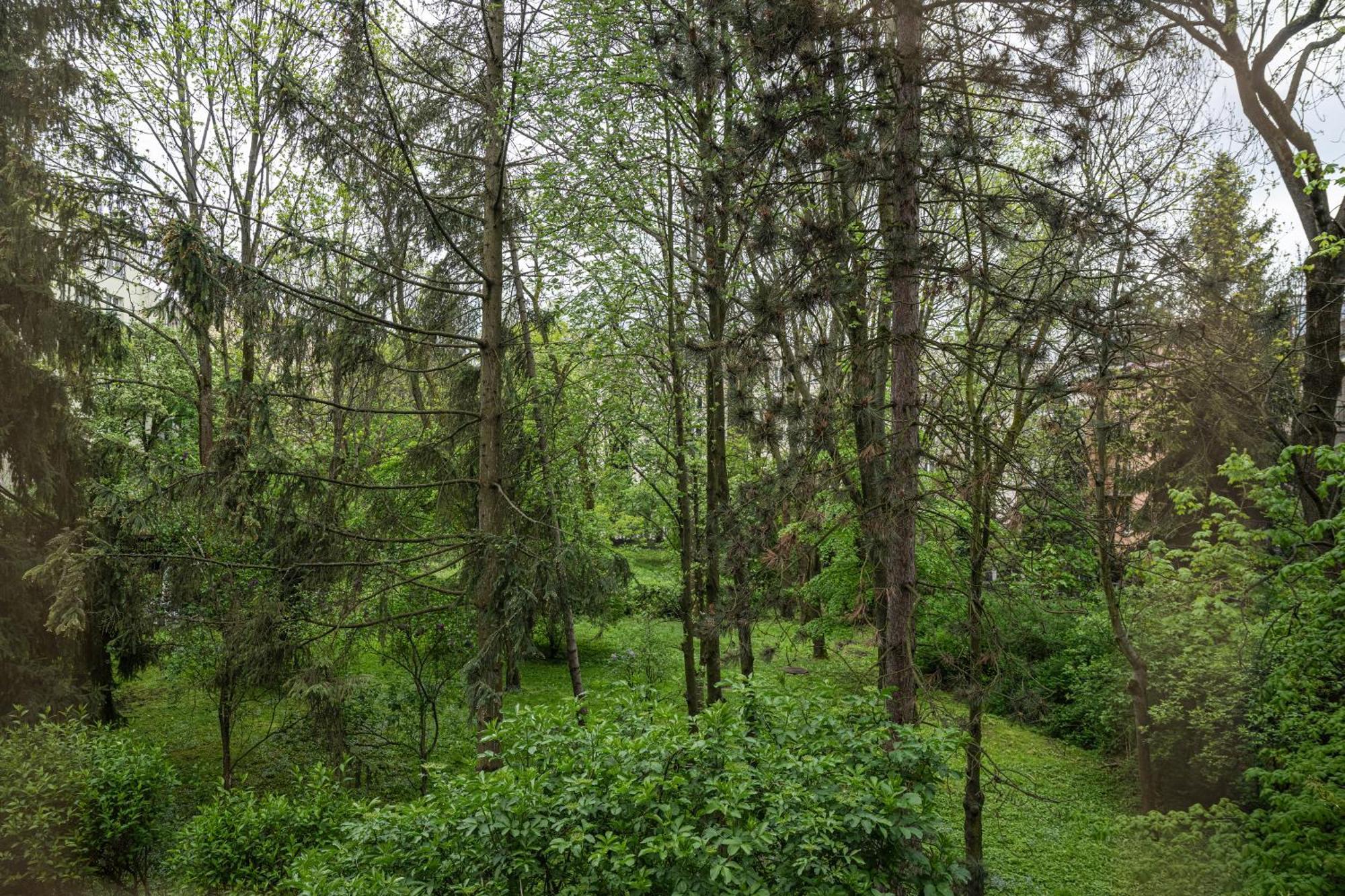 Apartment Parkowy Ul. Raclawicka *