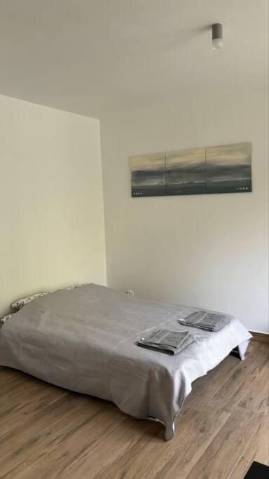 Z Ogrodkiem - Cytrus Apartment