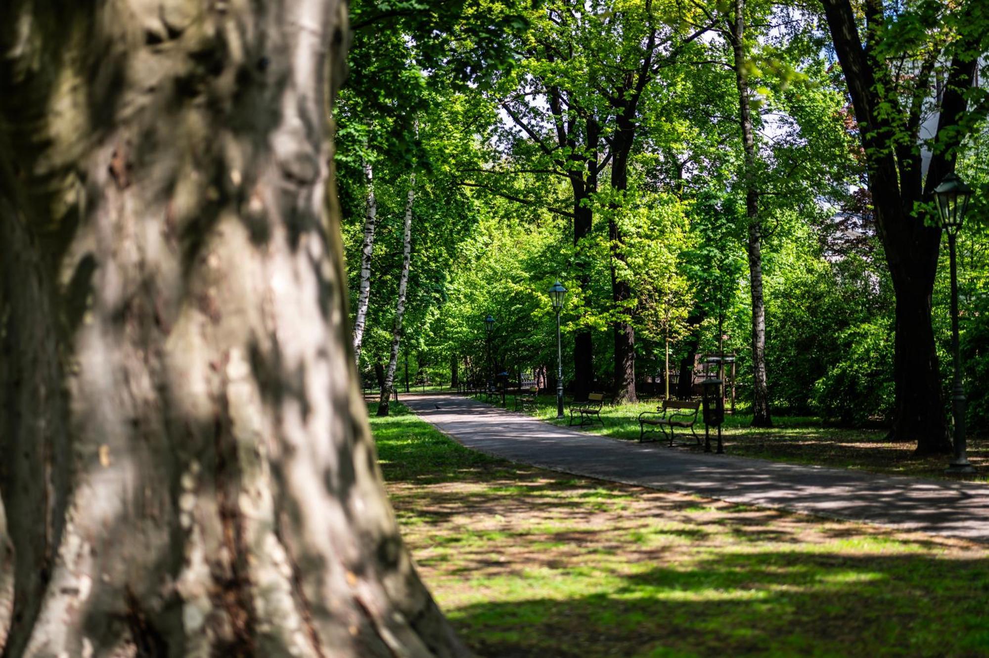 Bari Moxy Te&am Cracow Parking Gratis Krakau