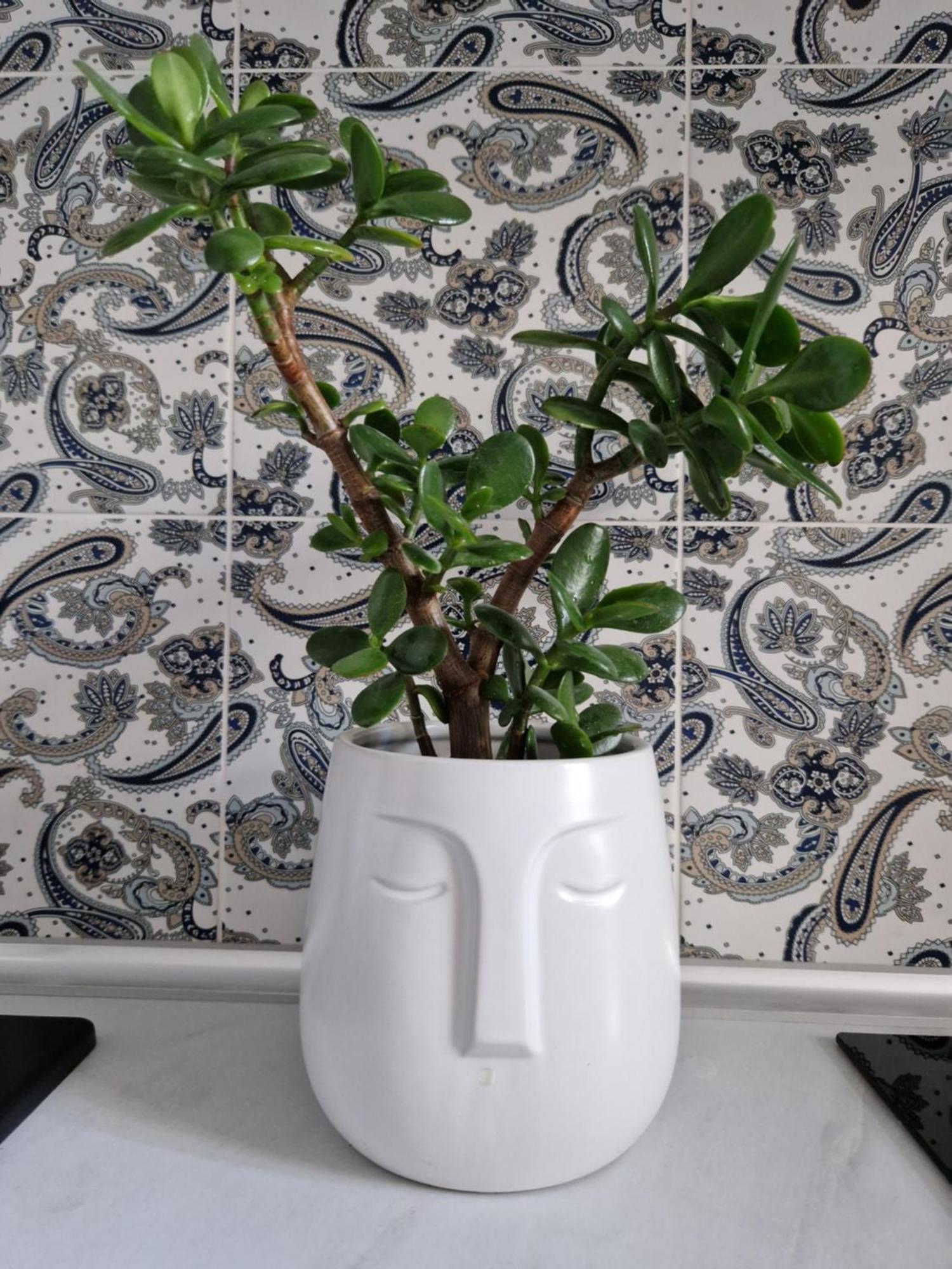 Apartment Juwel Indyjski Ap 29 Krakow