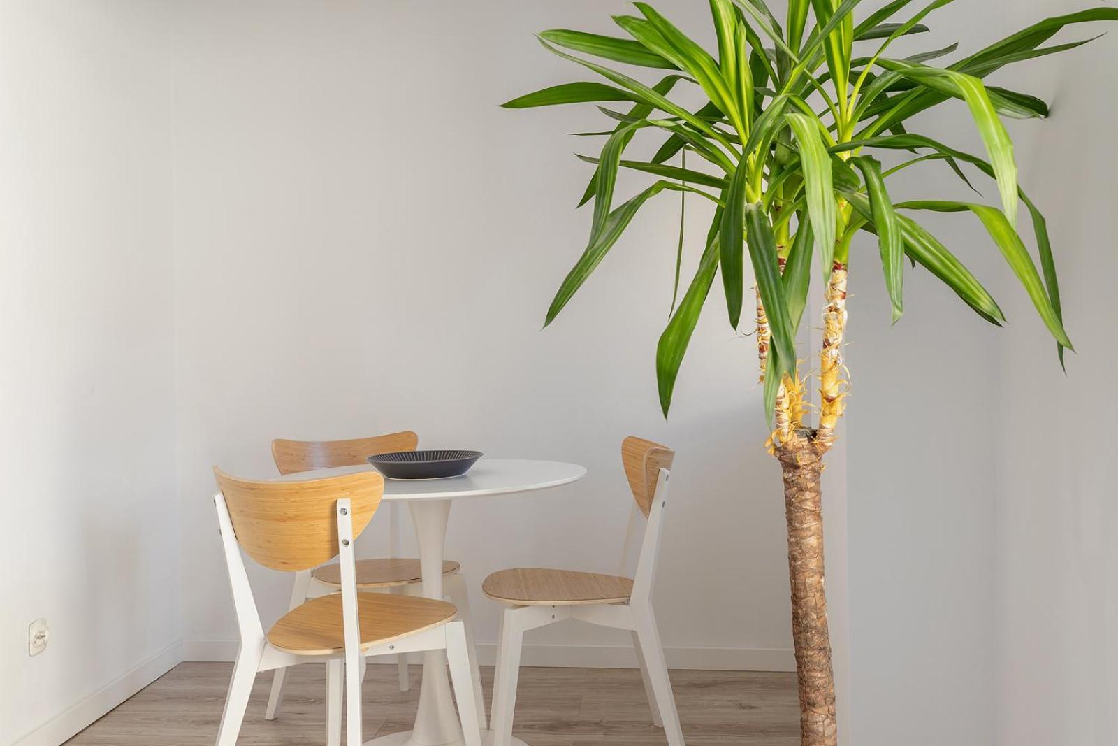 Appartement With Balcony - Paulinska 8 Street *