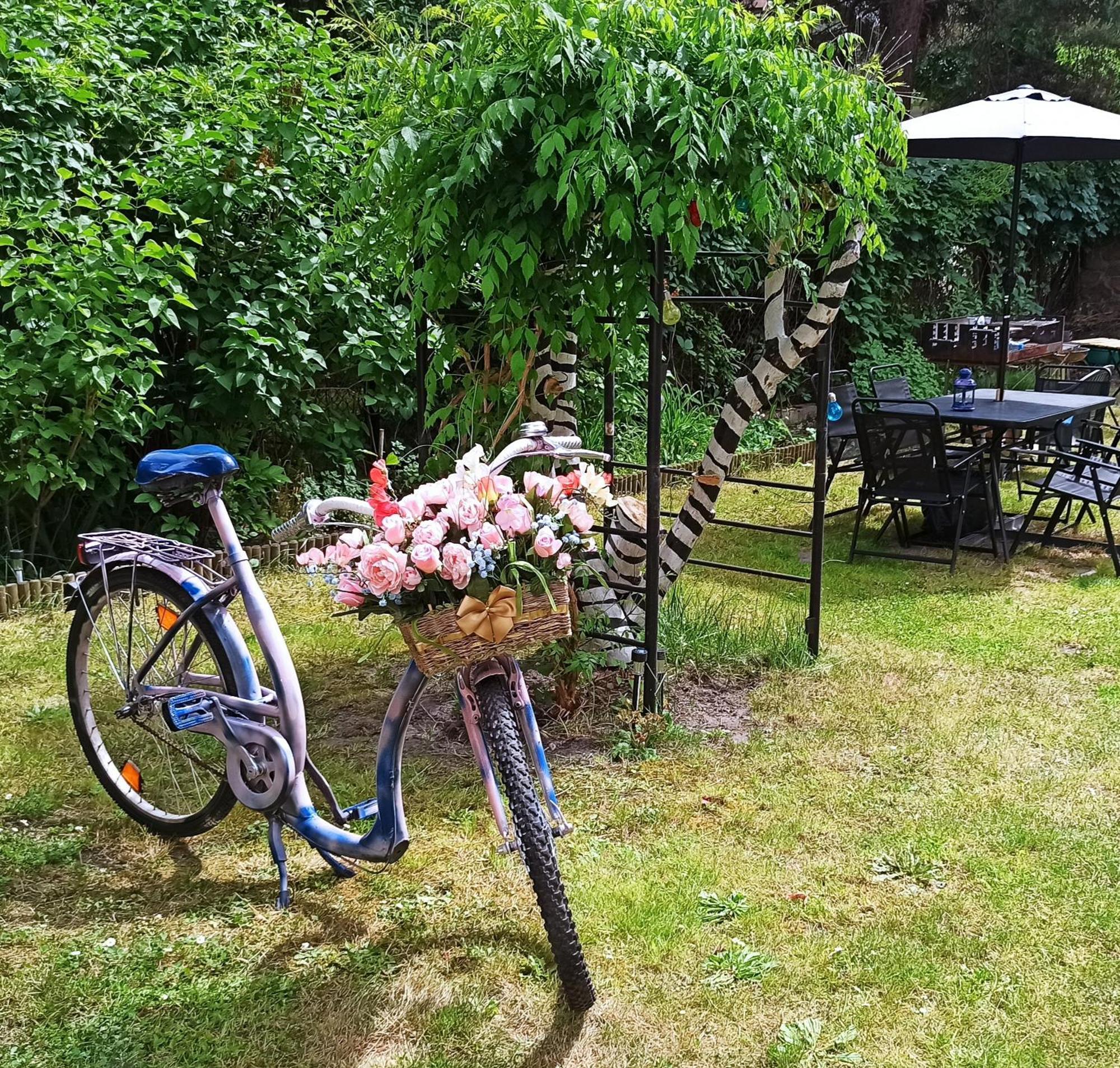 Retro Hostel