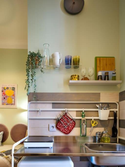 Crocus Narrow / Kochanowskiego Apartment *
