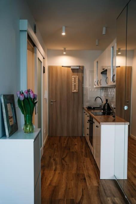 Cosy Studio In Apartment *