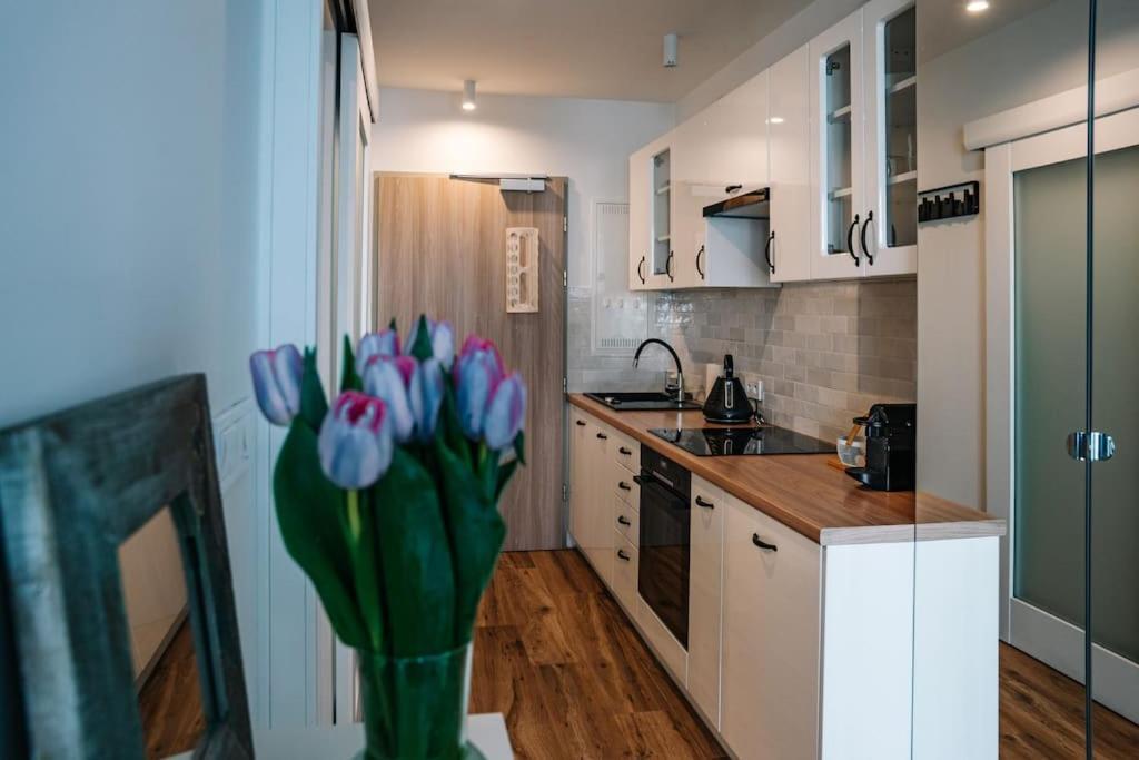 Cosy Studio In Apartment Krakau