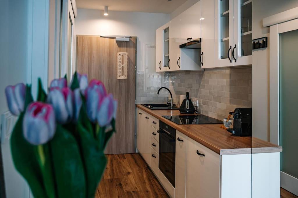 Apartment Cosy Studio In Krakau