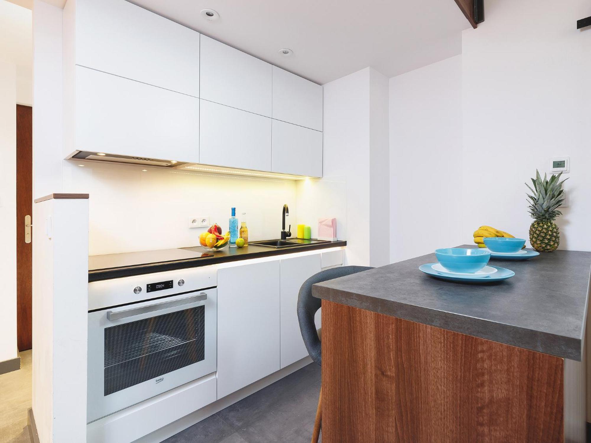 Apartment Scandic - Old Town