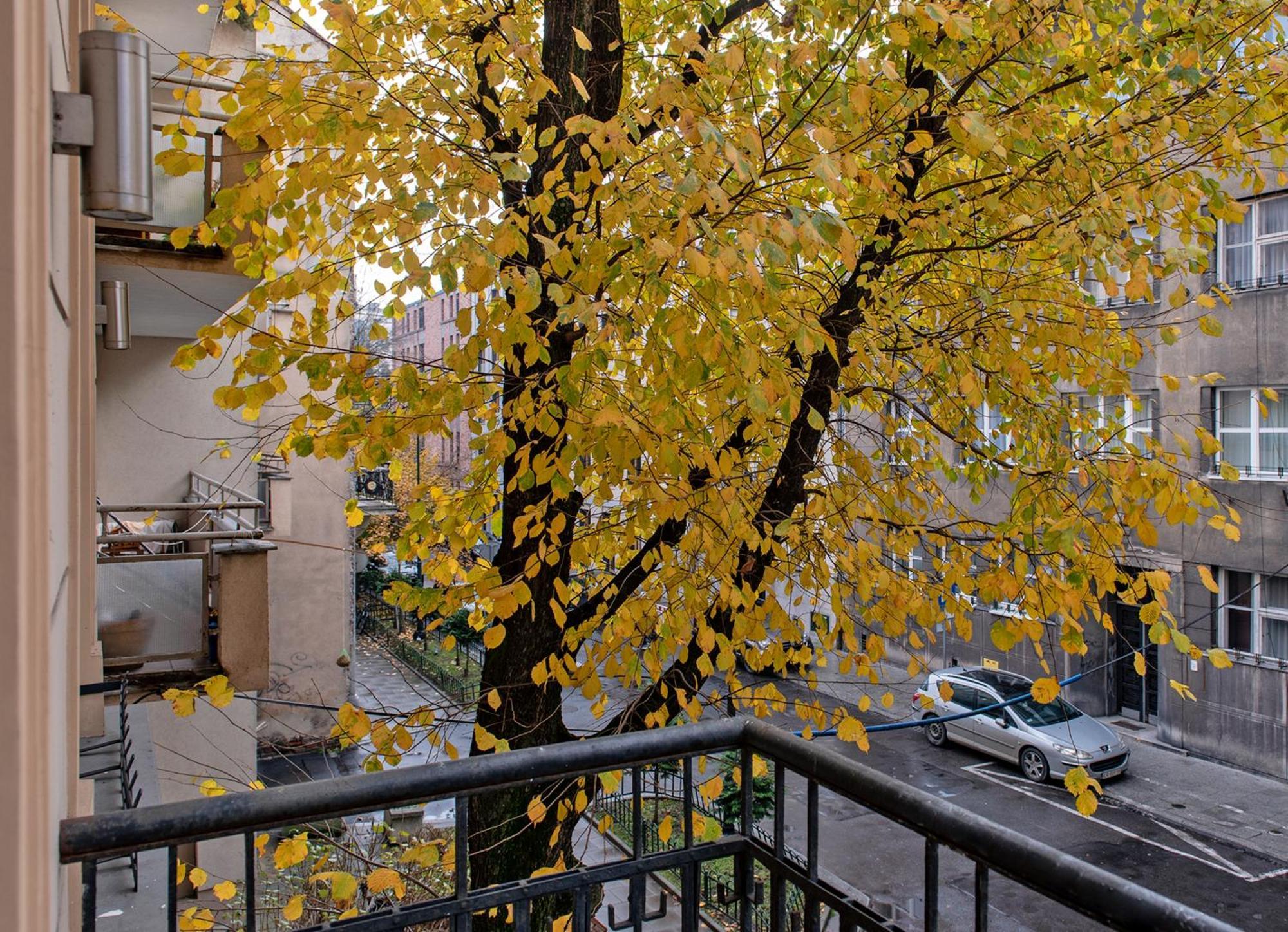 3d Wygoda * Krakau