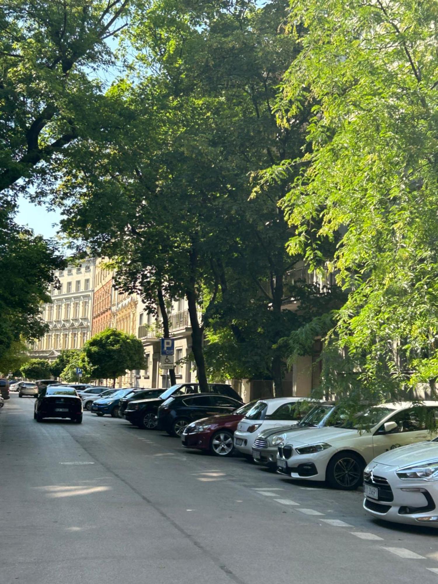 Apartamento Charm & Comfort Renovated Gem In Old Town Sarego B *