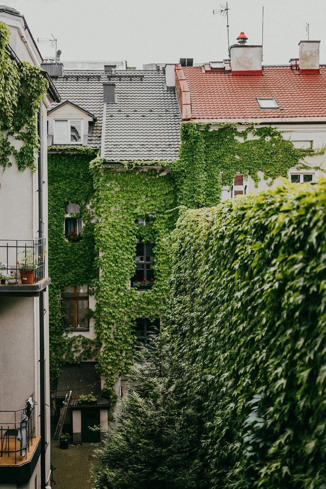 Antique Old Town Apartment