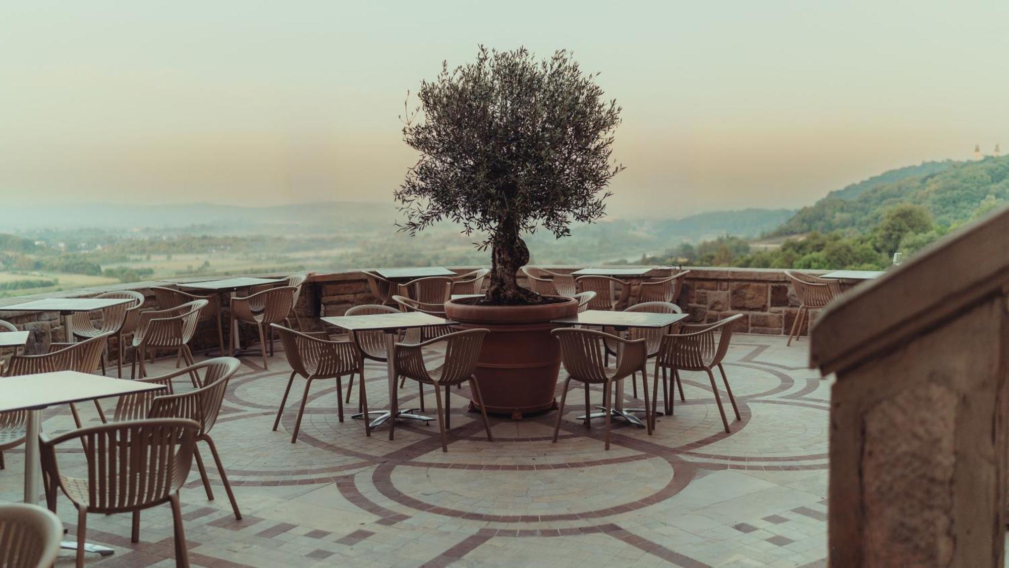 Hotel Zinar Castle 5*