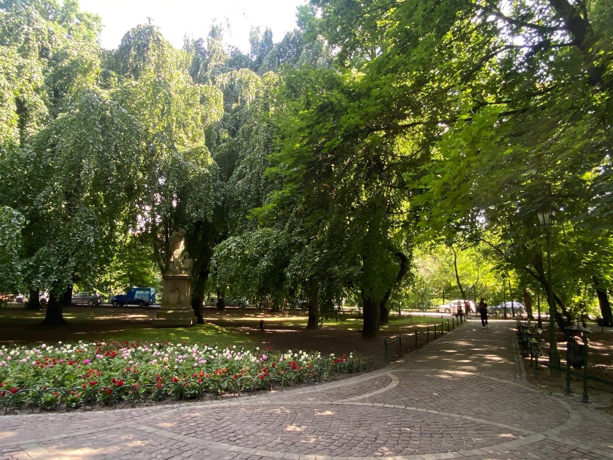 Top Near Wawel