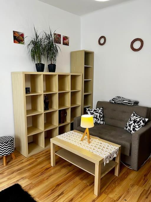 Appartement Starowislna 66 *