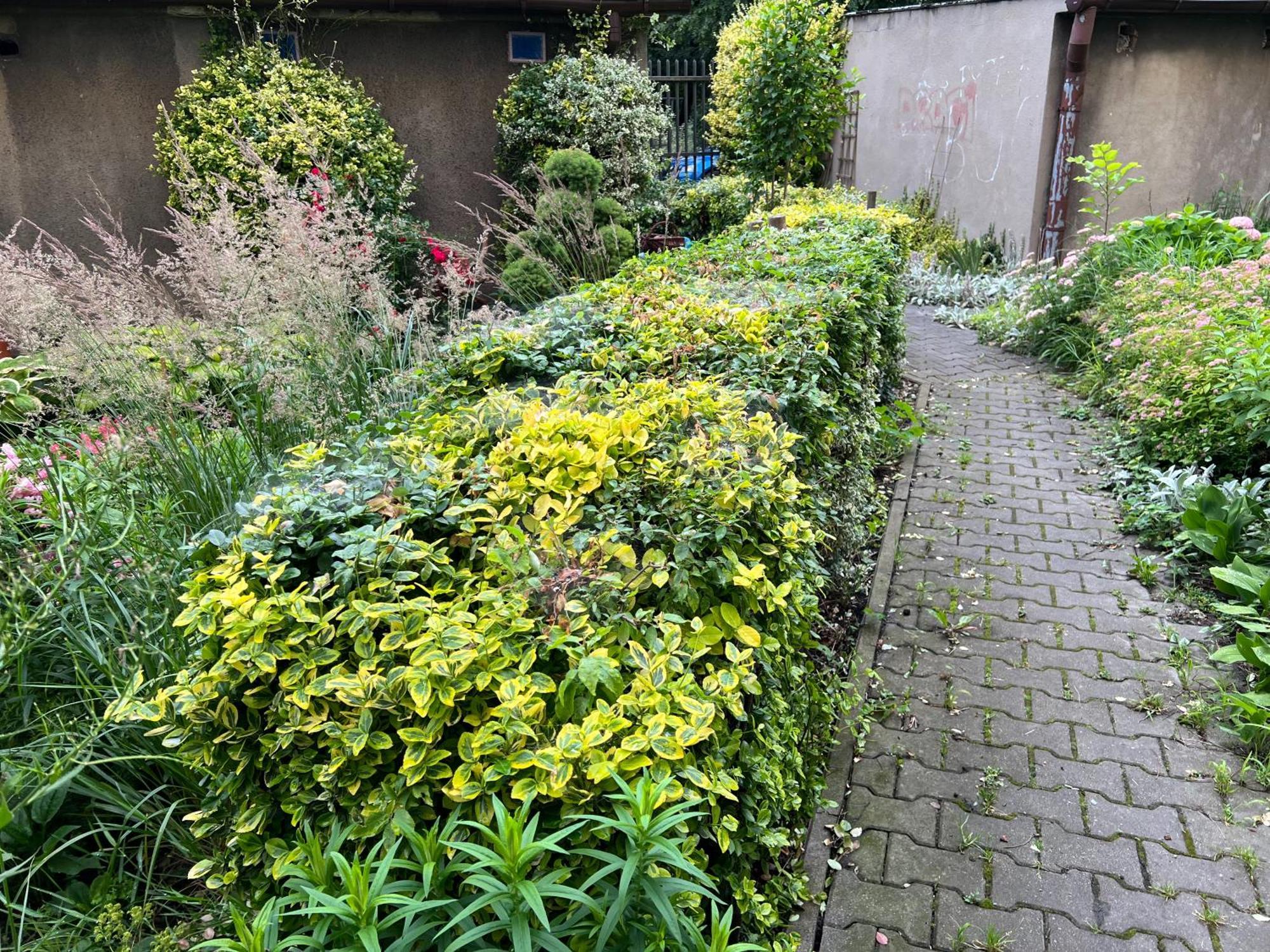 Przytulny 2 Pokojowy Apartament 46m2 W Centrum Apartment *