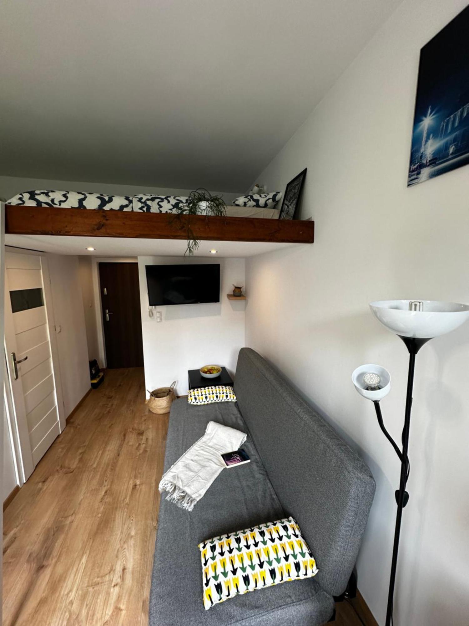 Spokojna Nest Apartment *