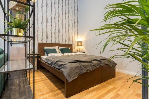 Appartement Aurora - Old Town *