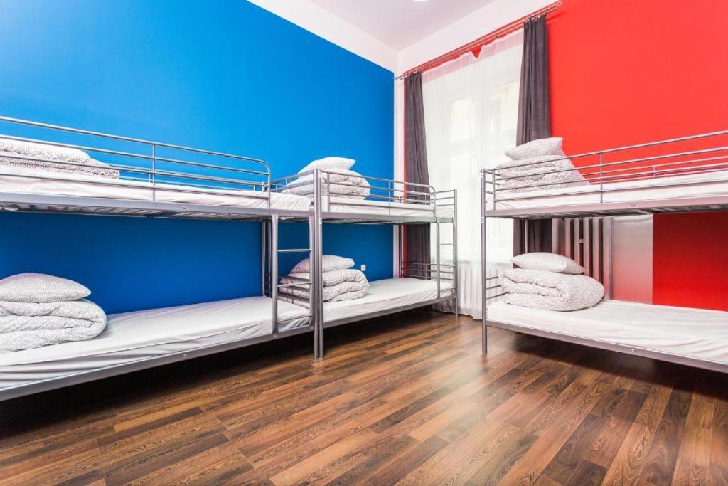 Albergue New One World *