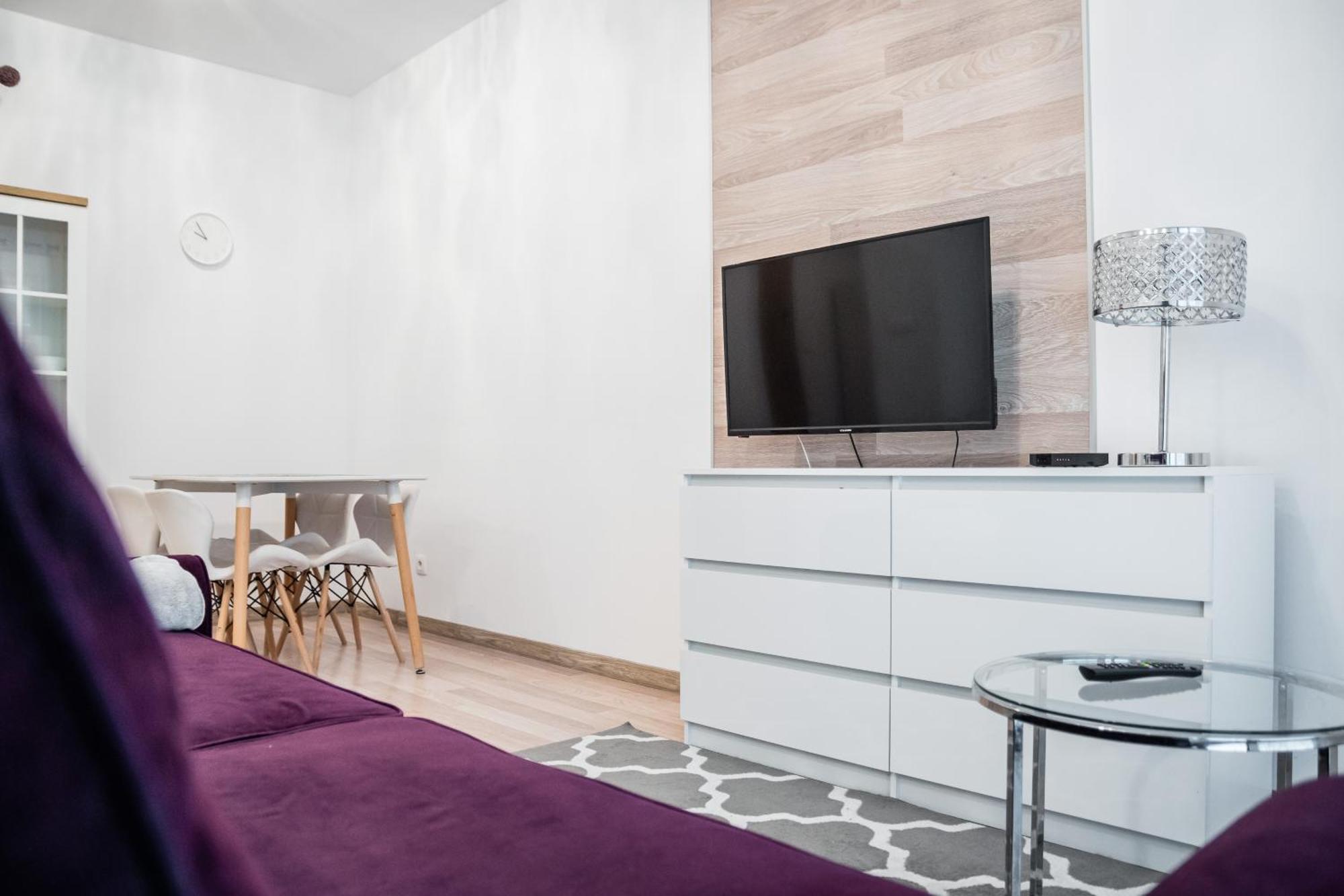Apartment Rakowicka Wawelofts