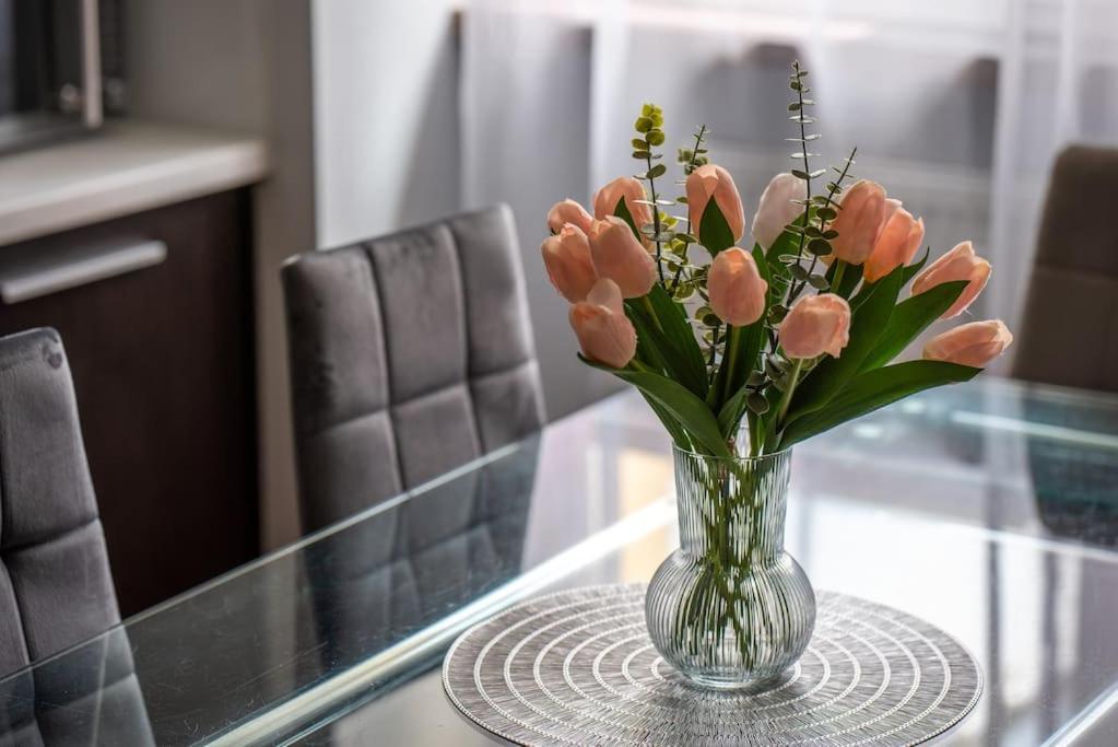 Paryski 4 90m2 2 Poziomy Ogrod Oranzeria Kraków