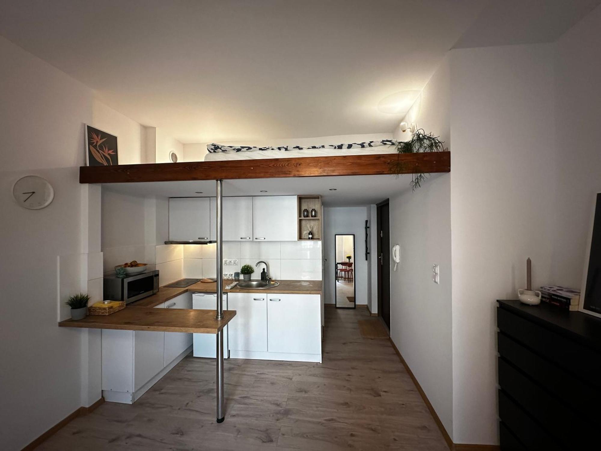 Spokojna Nest Apartment