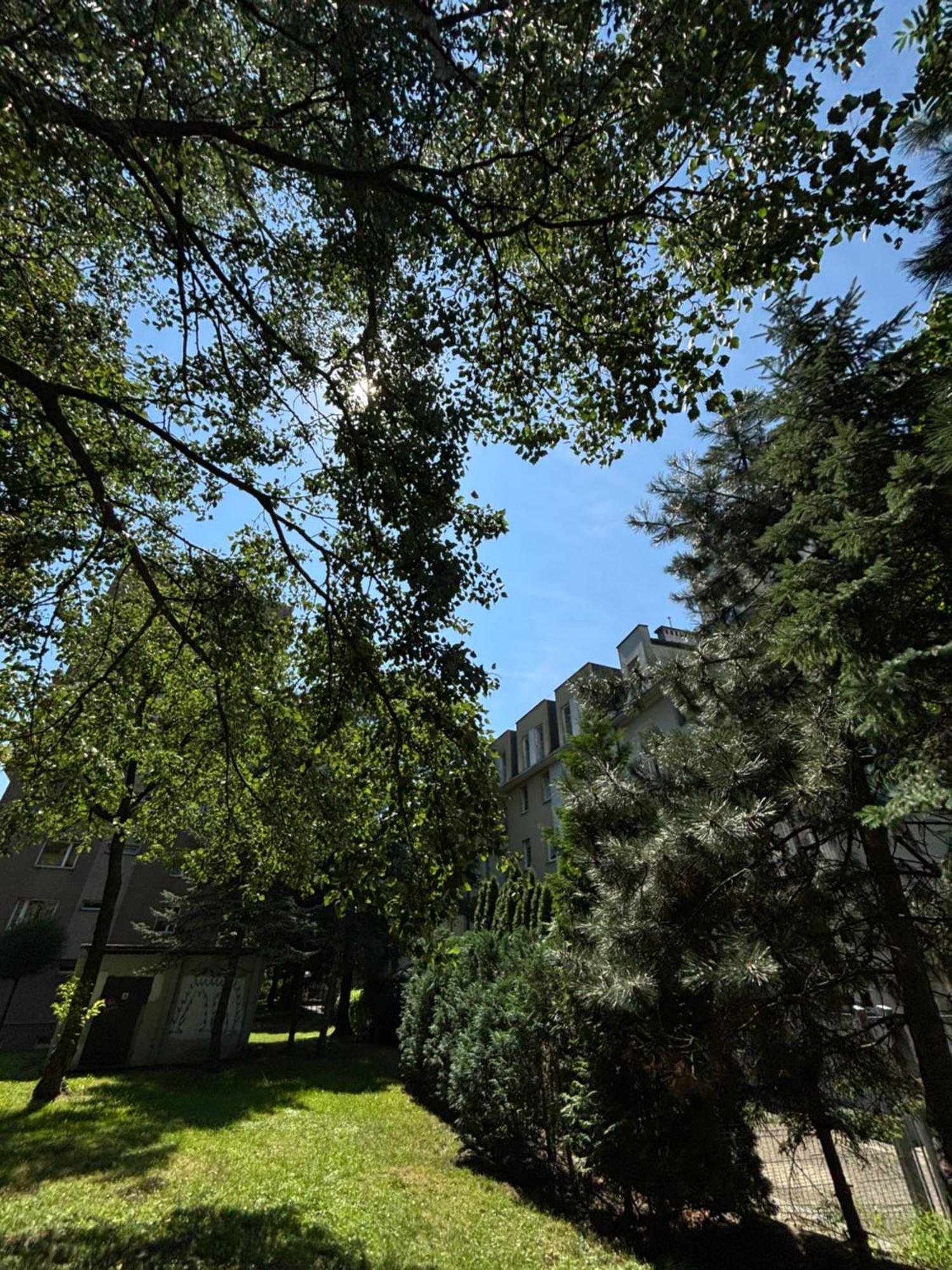 Apartament In Cracow