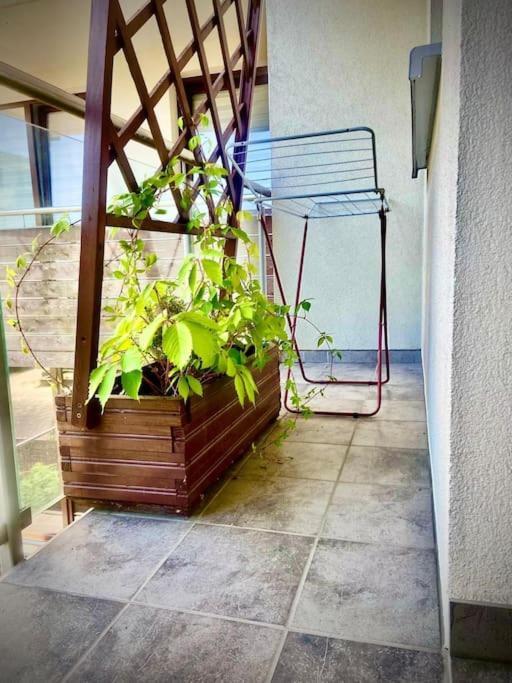 Grzegorzecka Centrum Apartament Kraków