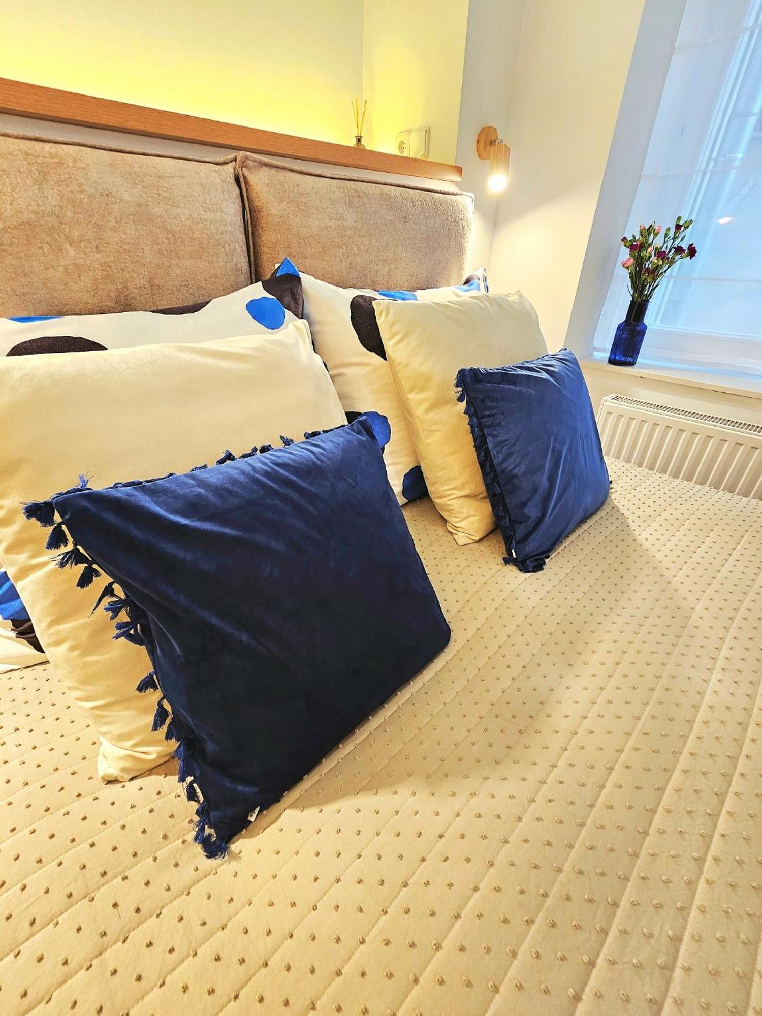 Vintage Chic - Kazimierz Old Town Apartment Krakow
