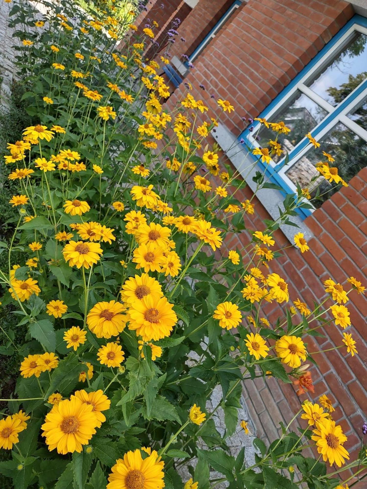 Vakantiehuis U Janciow