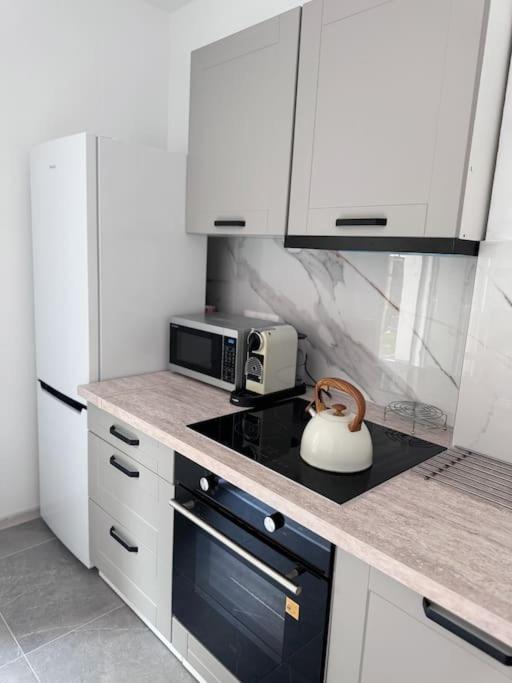 Apartment Na Wodzienowskiego *