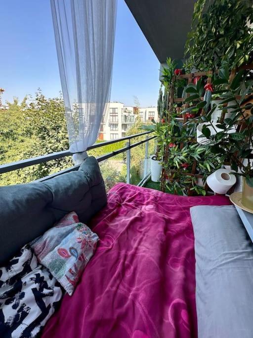Apartment Kaczary Deluxe 56m2