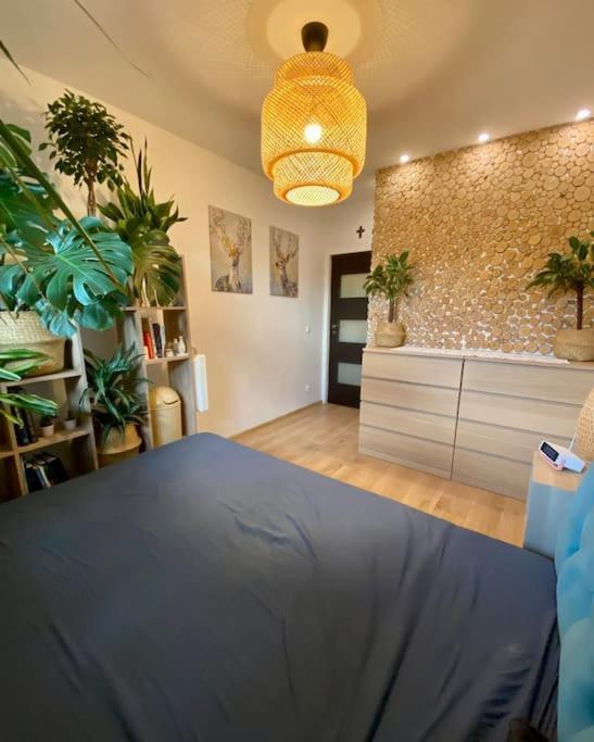Apartment Kaczary Deluxe 56m2 Krakow